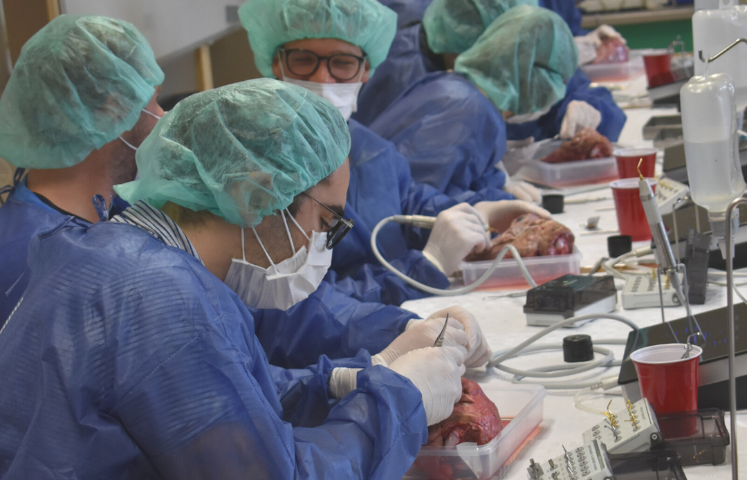 Surgical internships, surgical courses